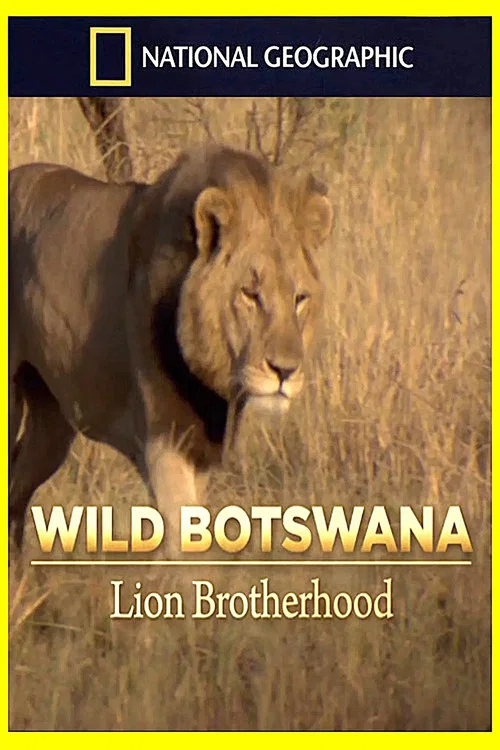 Movie poster for Lion Brotherhood (2013)