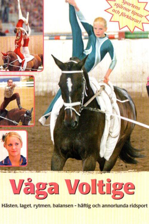 Movie poster for Våga voltige (2009)