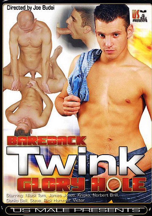 Movie poster for Bareback Twink Glory Hole (2009)