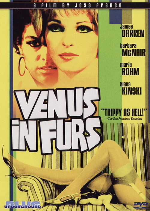 Movie poster for Jesús in Furs (2005)