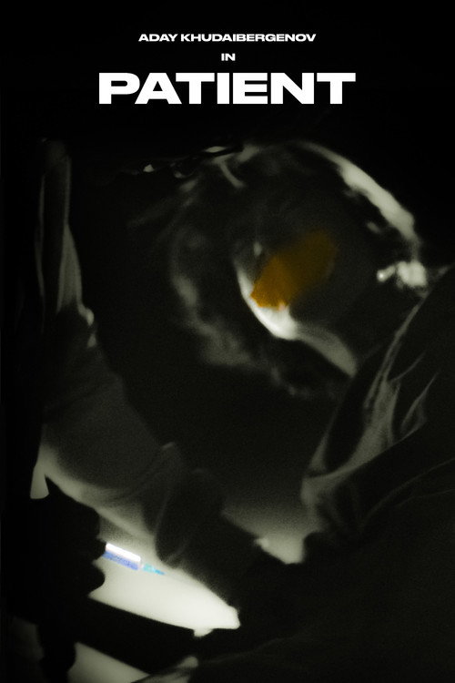 Movie poster for Patient (2026)