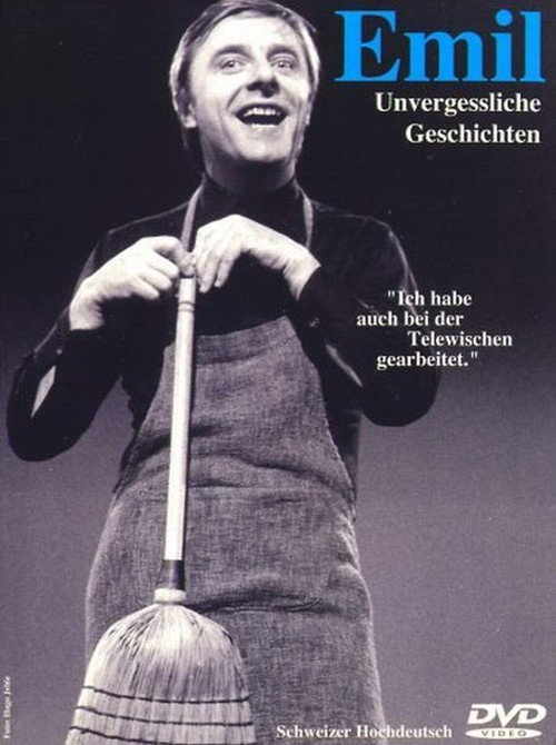 Movie poster for Emil Unvergessliche Geschichten (2004)