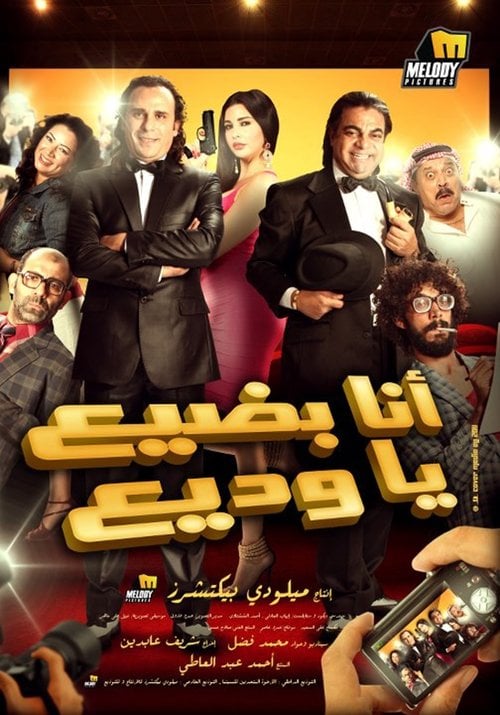 Movie poster for Wadia, I'm in Trouble (2011)