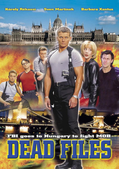 Series poster for Rendőrsztori (2002)