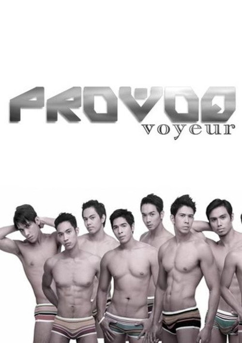 Movie poster for Provoq Voyeur (2006)