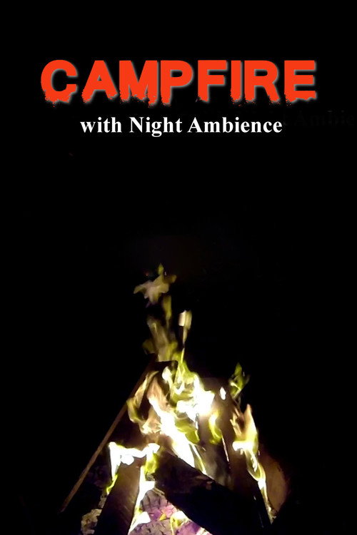 Movie poster for Campfire with Night Ambience (2018)