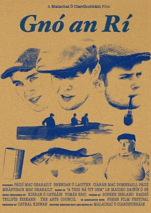Movie poster for Gnó an Rí (2024)