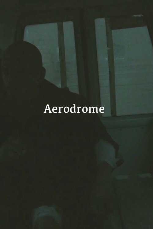 Movie poster for Aerodrome (2015)
