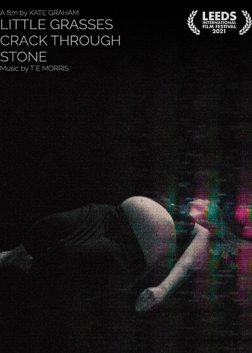 Movie poster for Little Grasses Crack Through Stone (2021)