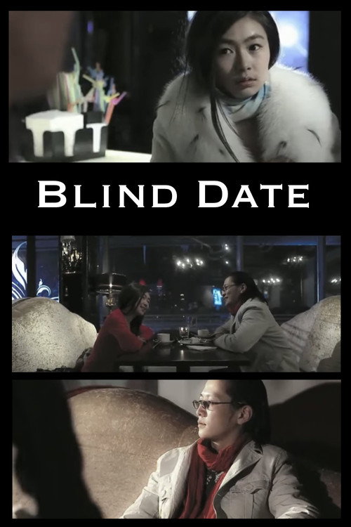 Movie poster for Blind Date (2010)