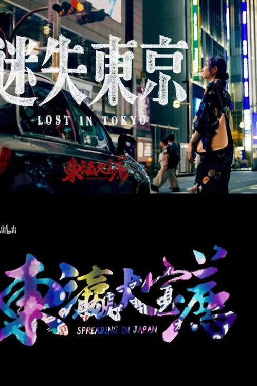 东瀛大宝荐：迷失东京 poster
