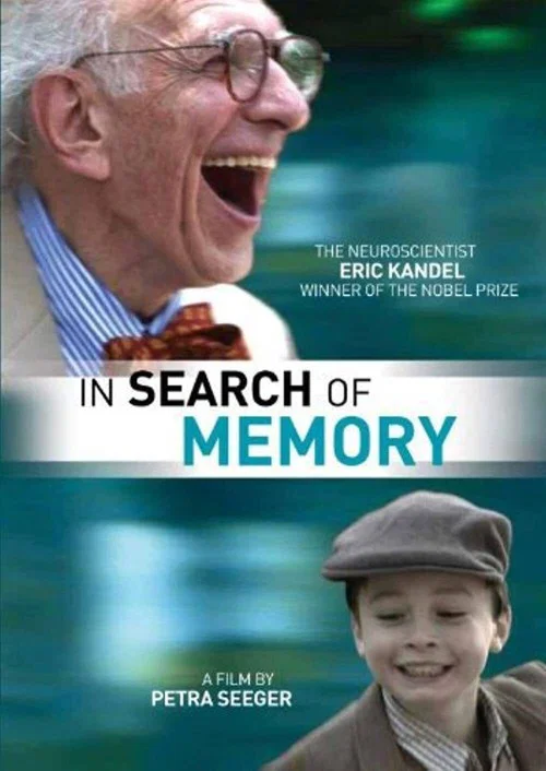 Movie poster for In Search of Memory (2008)