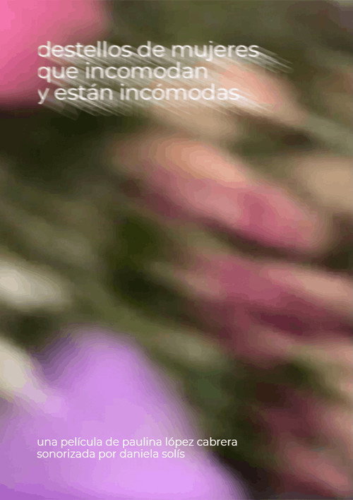 Movie poster for Destellos de las mujeres que incomodan y están incómodas (2024)