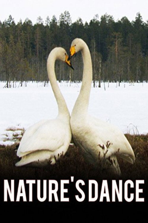 Movie poster for Nature's Dance (2008)