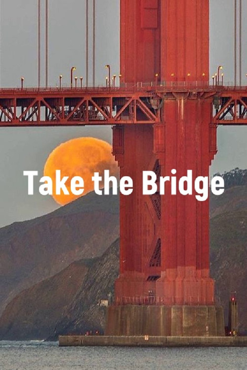 Movie poster for Take The Bridge (2008)