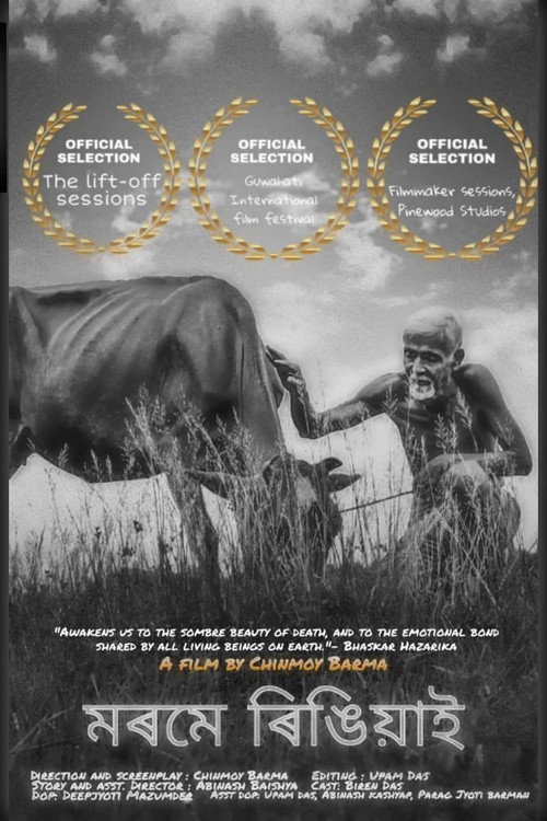 Movie poster for Morome Ringiyaai (2019)