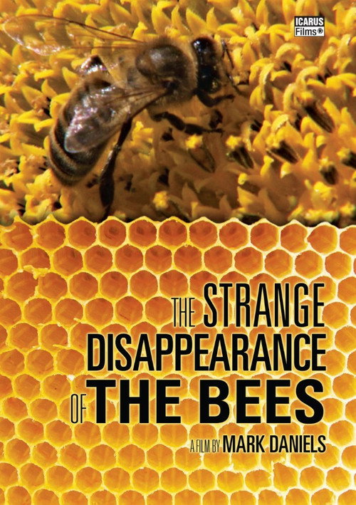 Movie poster for The Mystery of the Disappearing Bees (2010)
