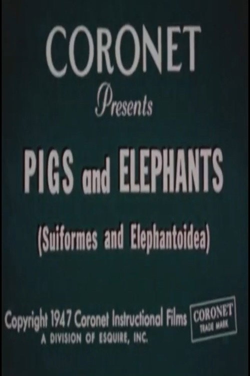 Movie poster for Pigs and Elephants (Suiformes and Elephantoidea) (1947)