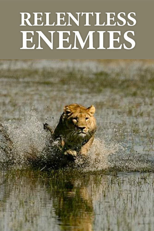 Movie poster for Relentless Enemies: Revealed (2022)