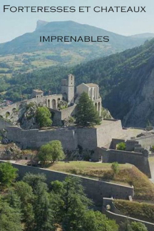 Movie poster for Forteresses et châteaux imprenables : construction XXL (2024)