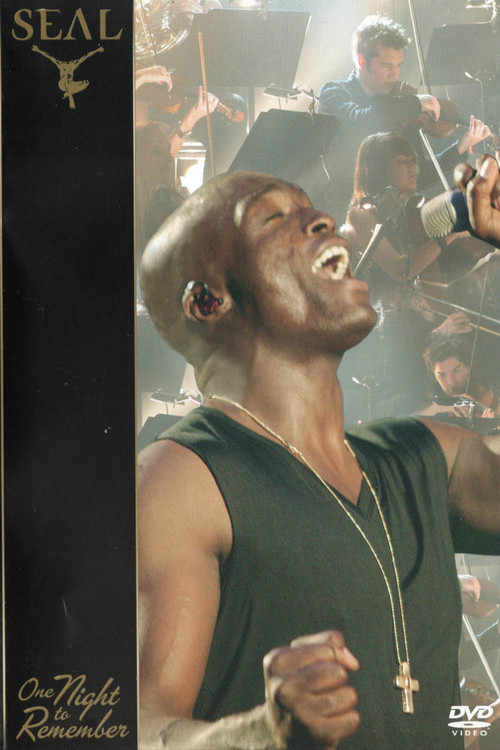 Movie poster for Seal: One Night To Remember (2006)