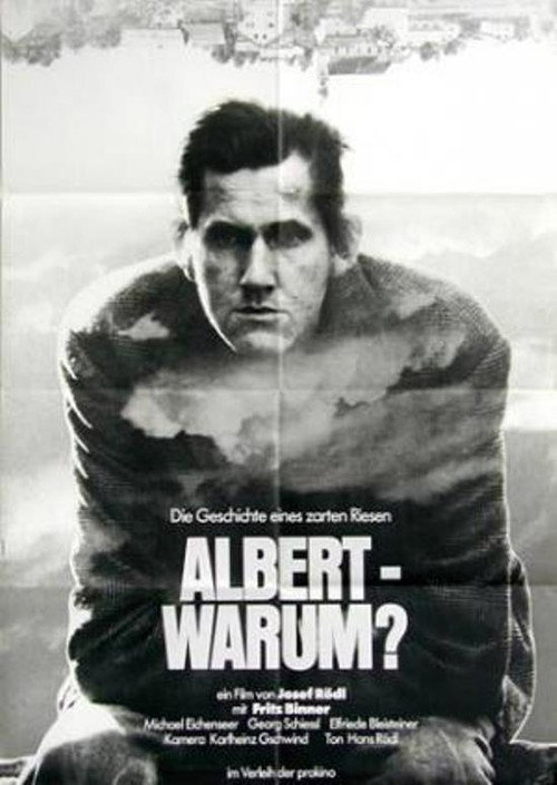 Movie poster for Albert - warum? (1979)