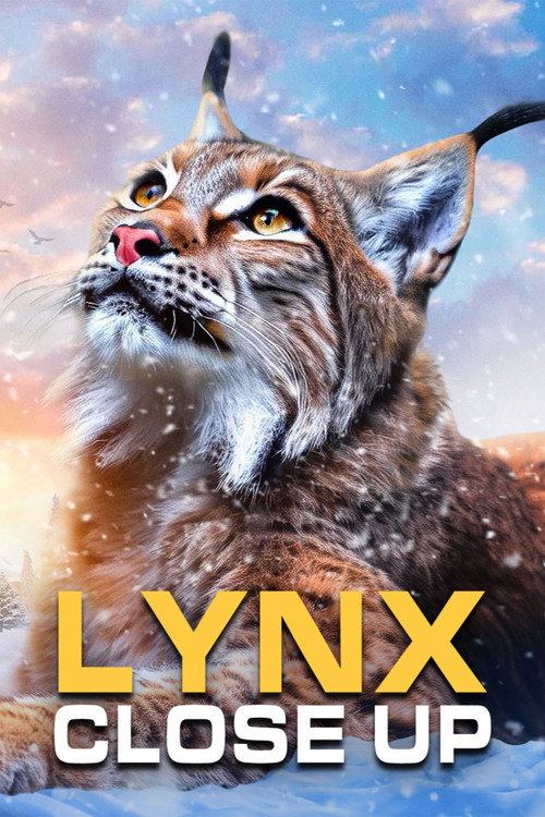 Movie poster for Lynx - Close Up (2019)