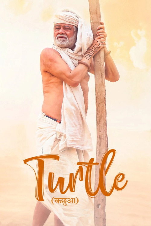 Movie poster for Turtle (2018)