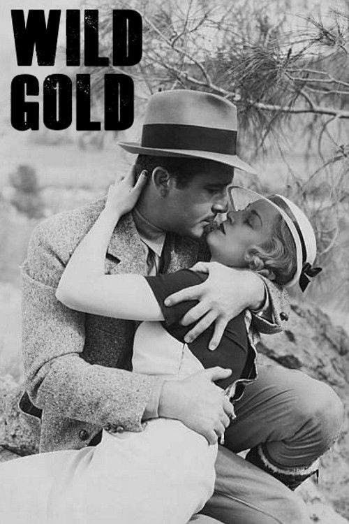 Movie poster for Wild Gold (1934)