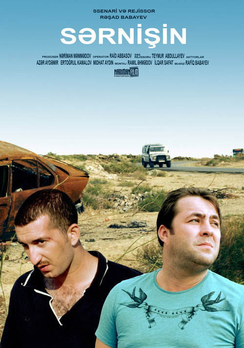 Movie poster for Passenger (2014)