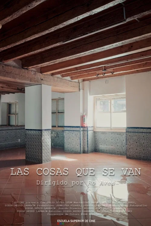 Movie poster for Las Cosas Que Se Van (2024)