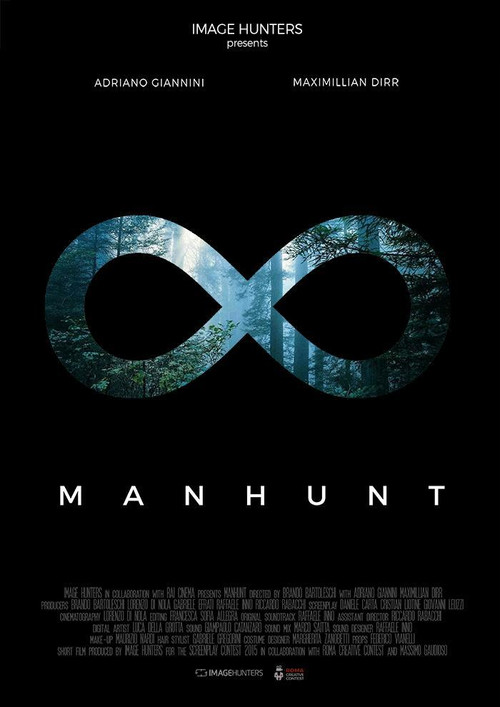 Movie poster for Manhunt (2016)