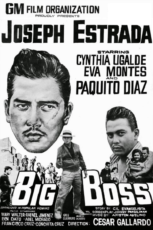 Movie poster for Big Boss (1965)