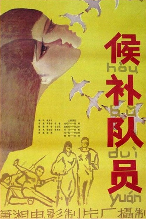 Movie poster for The Candidate (1983)
