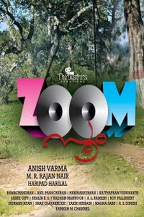 Movie poster for Zoom (2016)