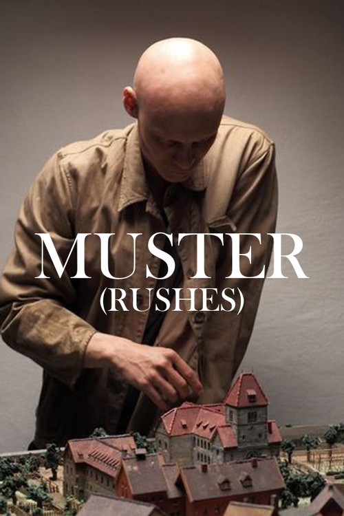 Movie poster for Rushes (2012)