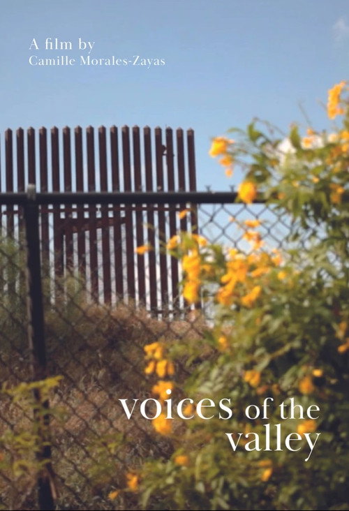 Movie poster for Voices of the Valley (2021)