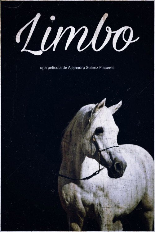 Movie poster for Limbo