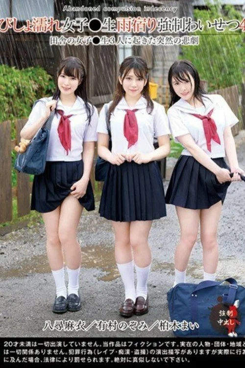 Movie poster for A Dripping Wet Schoolgirl Is Taking Shelter From The Rain And Getting Fucked 4 (2019)