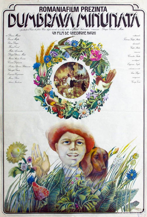 Movie poster for The Enchanted Grove (1980)