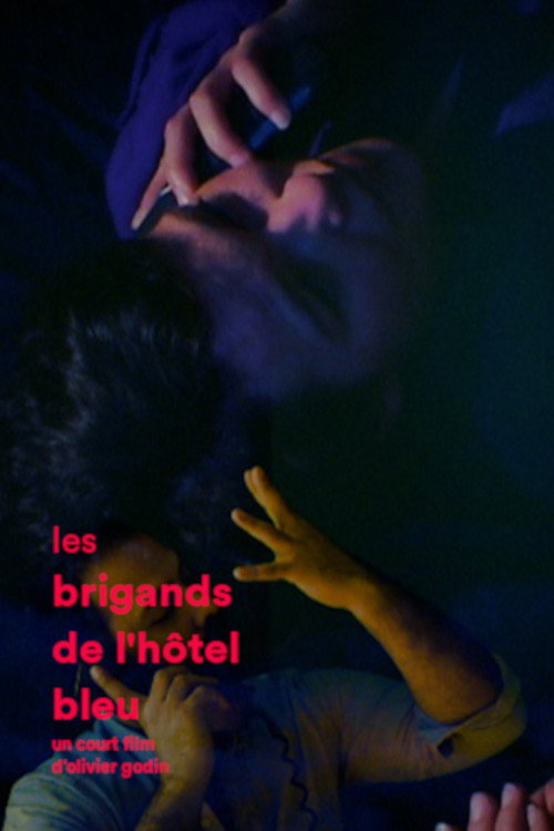 Movie poster for Les brigands de l'hôtel bleu (2015)
