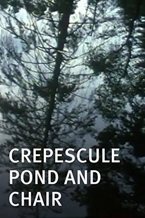 Movie poster for Crepescule Pond and Chair (2001)