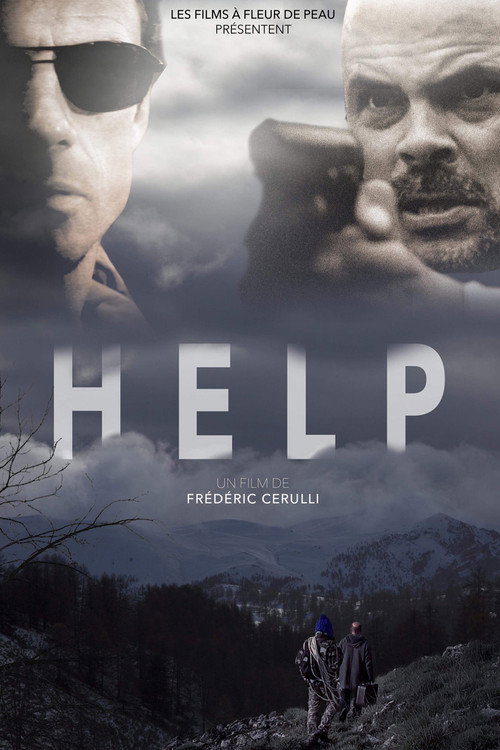 Movie poster for Help (2018)
