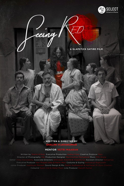 Movie poster for Seeing Red (2025)