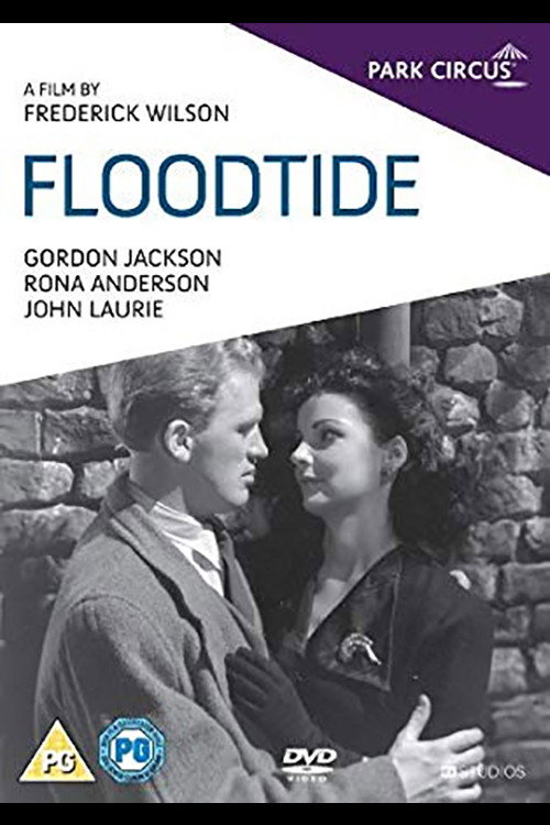 Movie poster for Floodtide (1949)