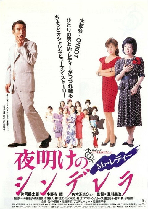 Movie poster for Mr. Lady Cinderella at Dawn (1990)
