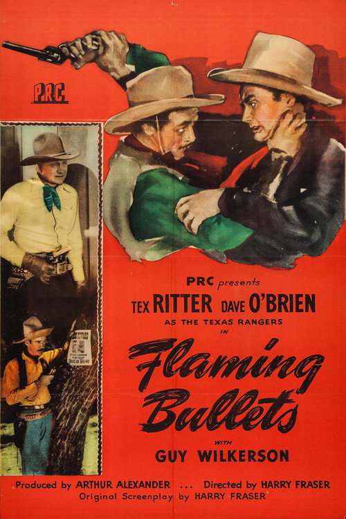 Movie poster for Flaming Bullets (1945)