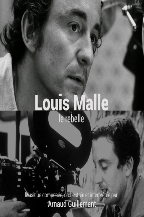 Movie poster for Louis Malle, le rebelle (2015)