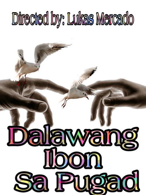 Movie poster for Dalawang Ibon Sa Pugad (2012)