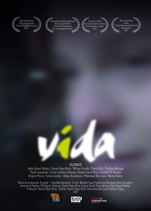 Movie poster for Vida (2014)